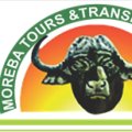 Moreba Tours & Transfers logo