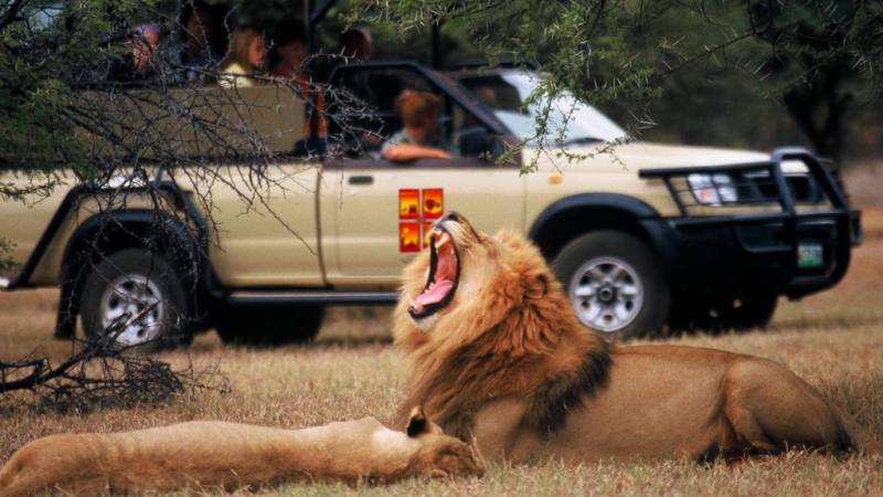 Sun City & Pilanesberg — Full day tour from Johannesburg